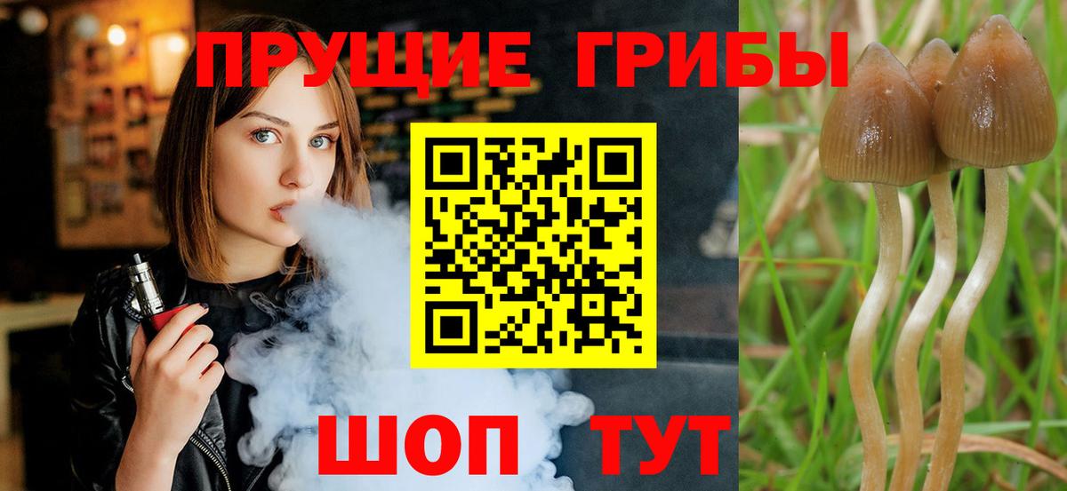 Галлюциногенные грибы мухоморы  Вход с VPN  Горячий Ключ 