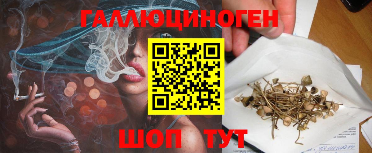 Галлюциногенные грибы Magic Shrooms Горячий Ключ