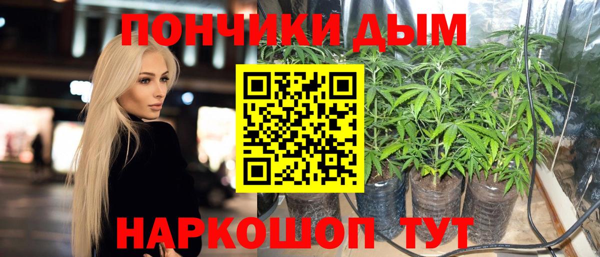 Бошки марихуана Amnesia Горячий Ключ